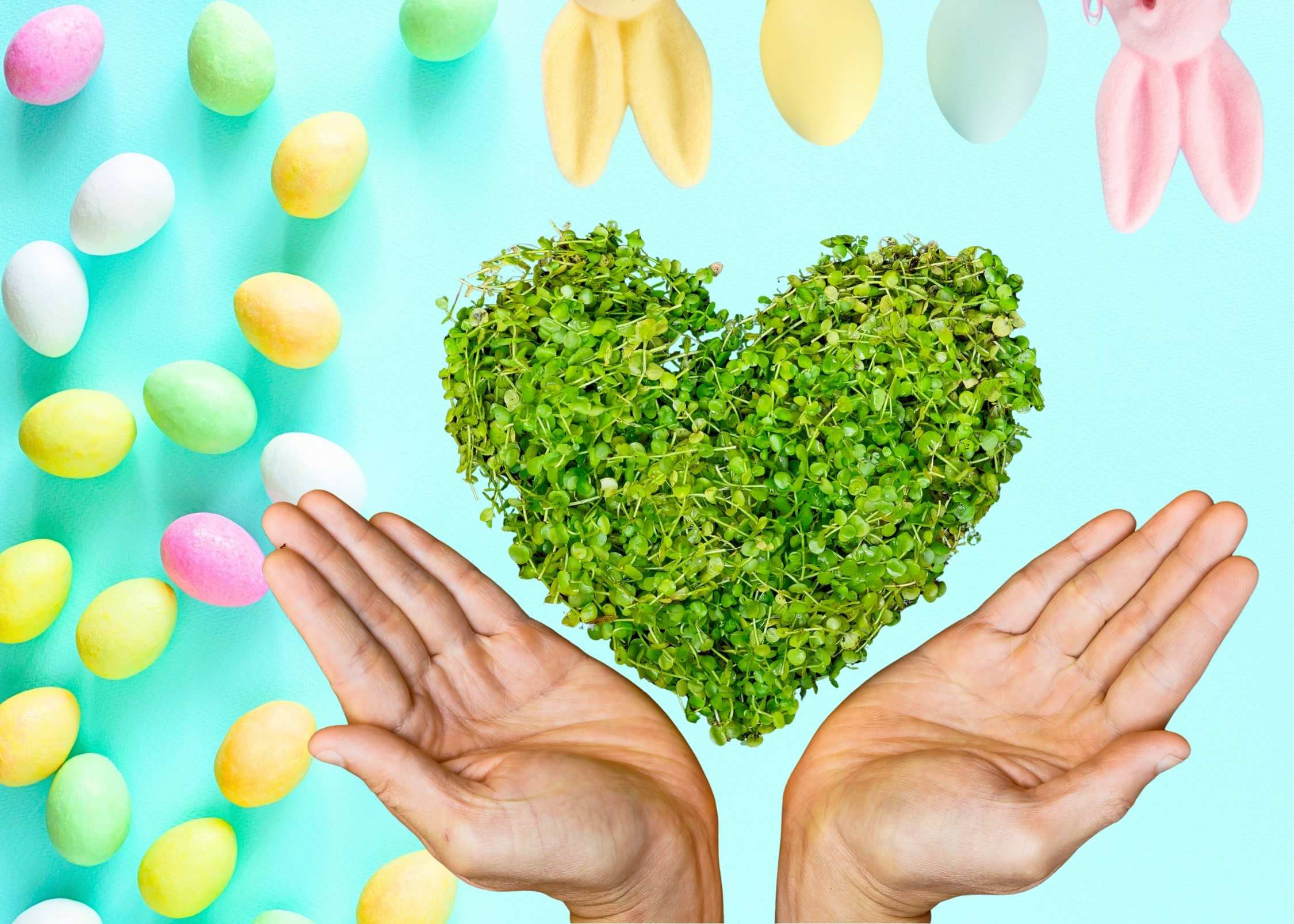 Bez názvu (199 x 142 mm)(11)